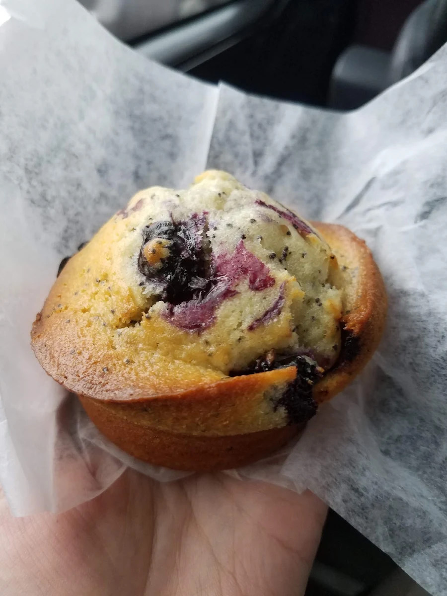 Blueberry Muffin