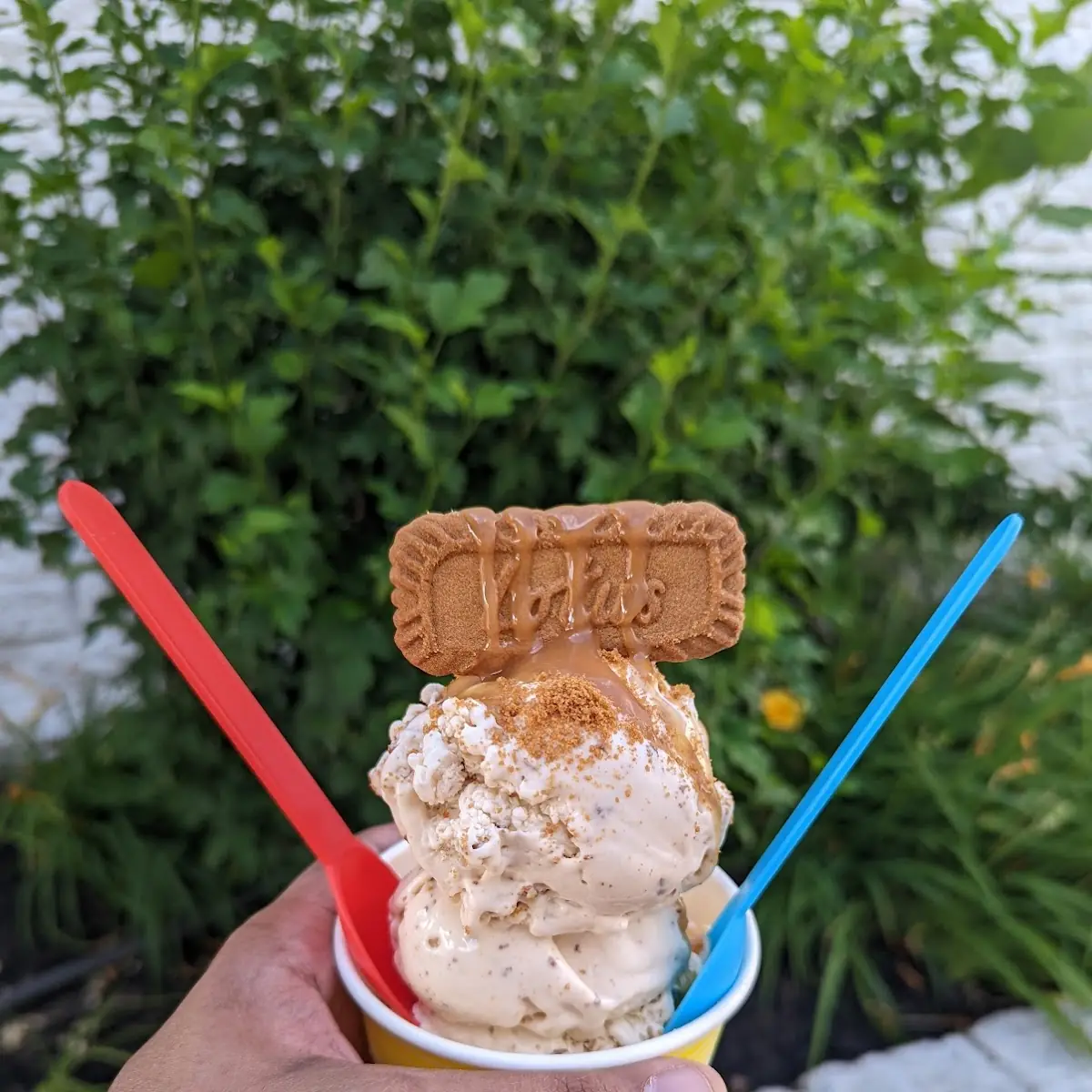Biscoff Sundae