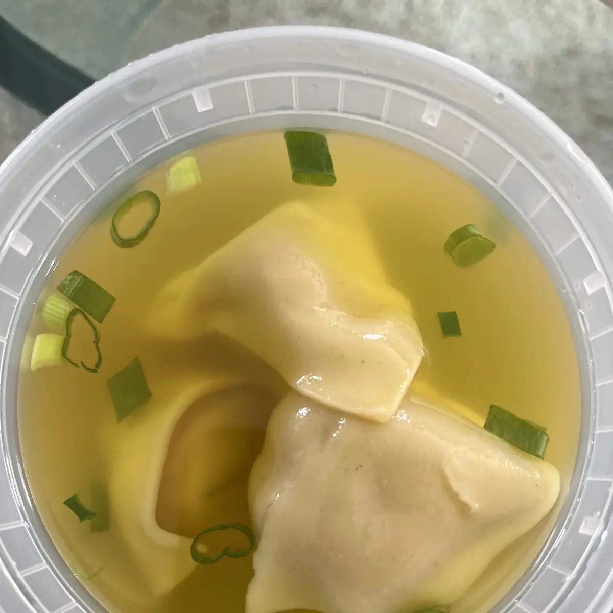 Wonton Soup