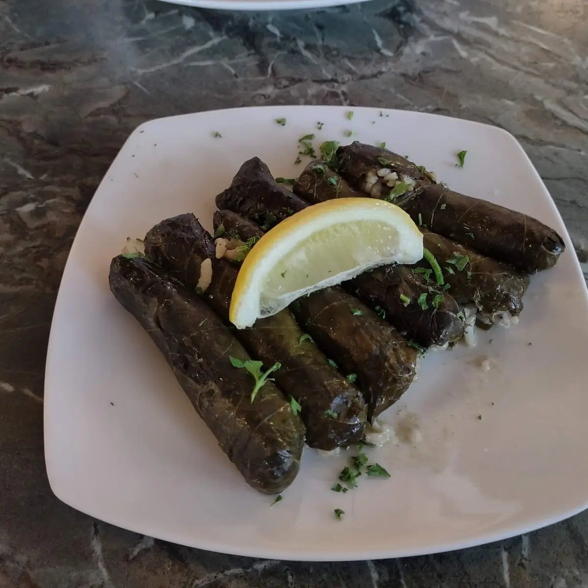 Stuffed Grape Leaves