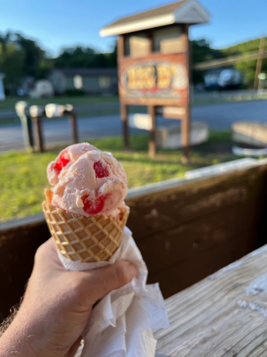 Cherry Vanilla Ice Cream
