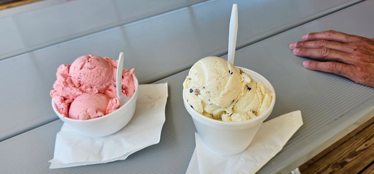 Chocolate Chip Cookie Dough