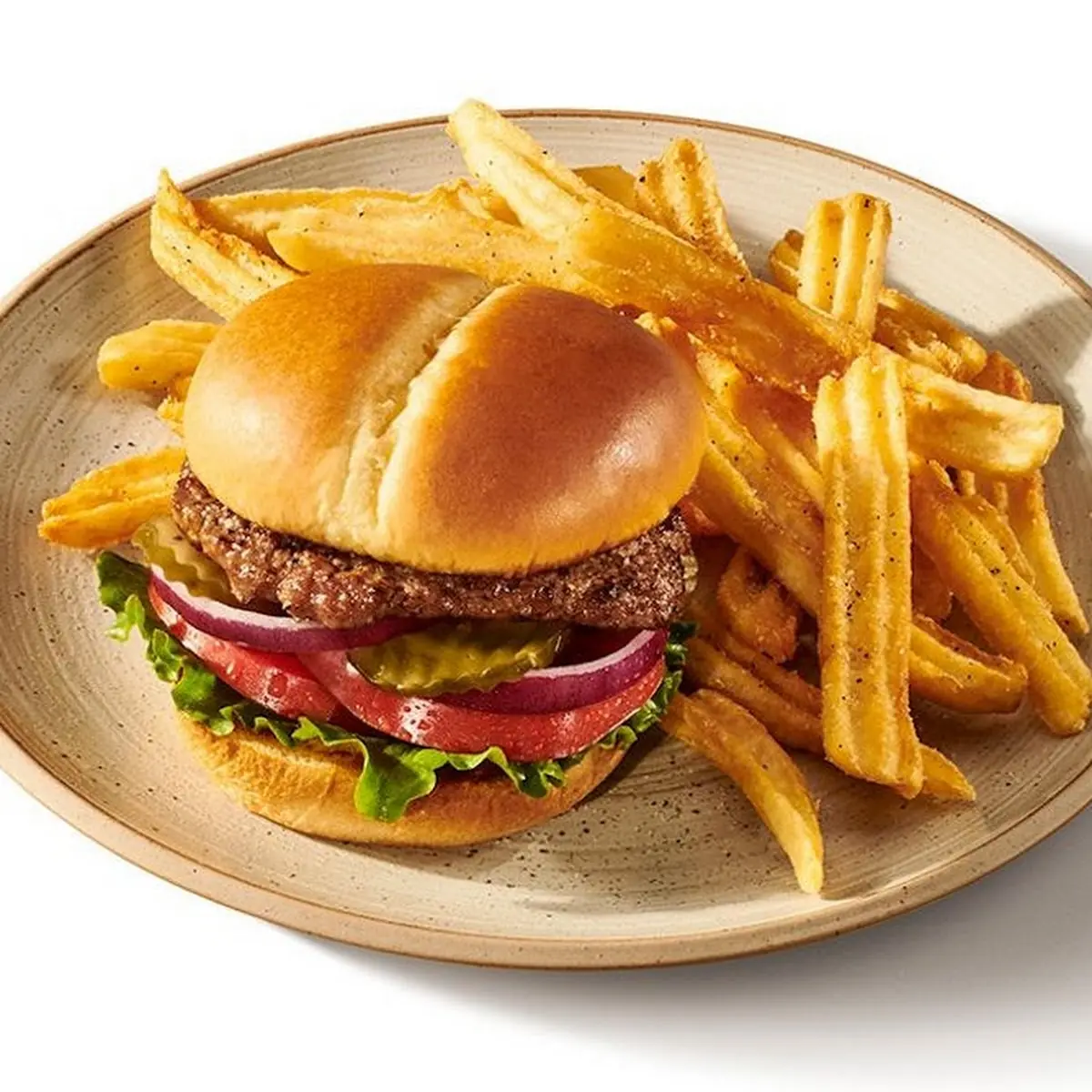 Classic Burger with Fries