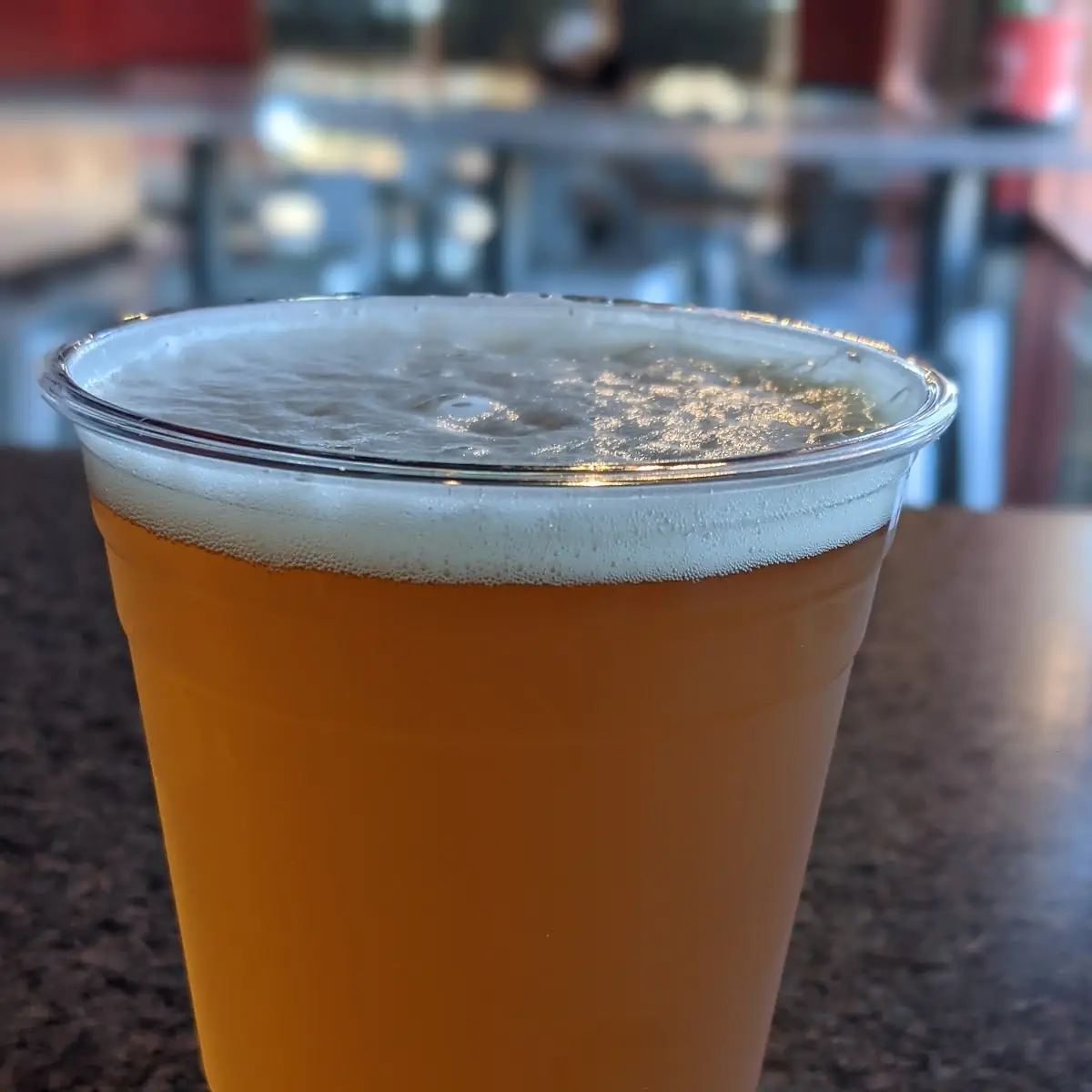 24oz Elysian Space Dust IPA