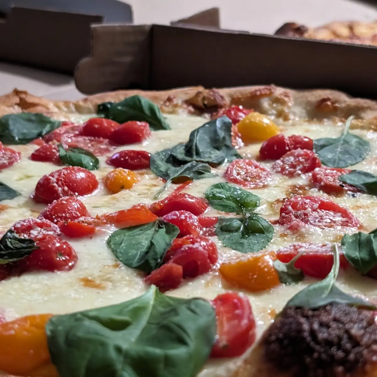 Tomato Basil Pizza