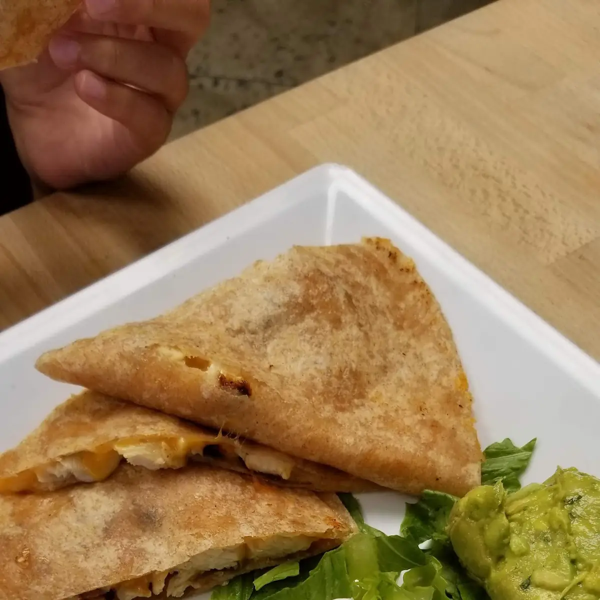 Chicken Quesadilla