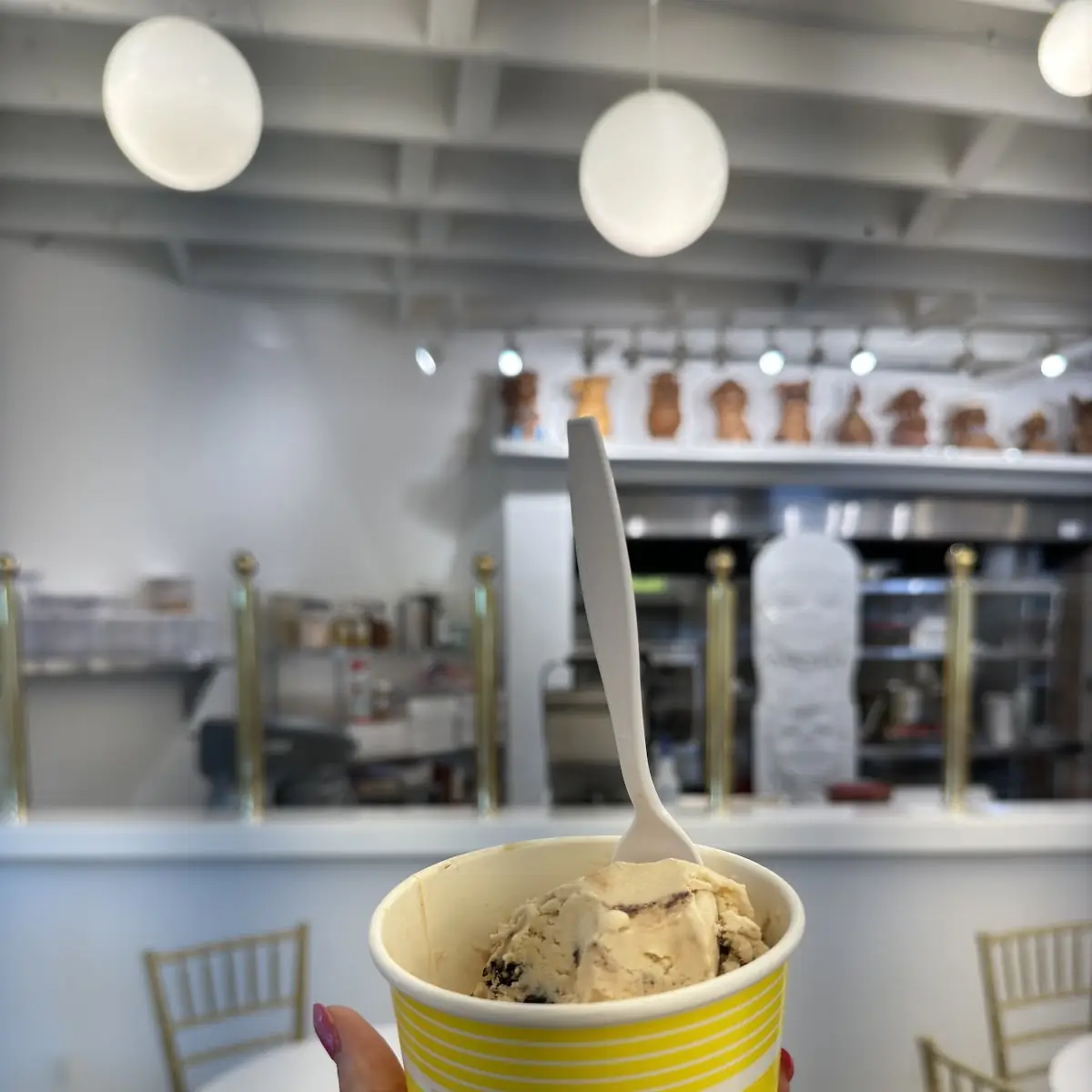 Gelato