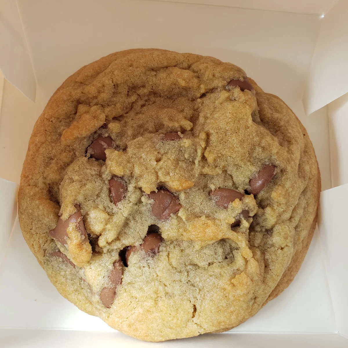 Chocolate Chip Cookie