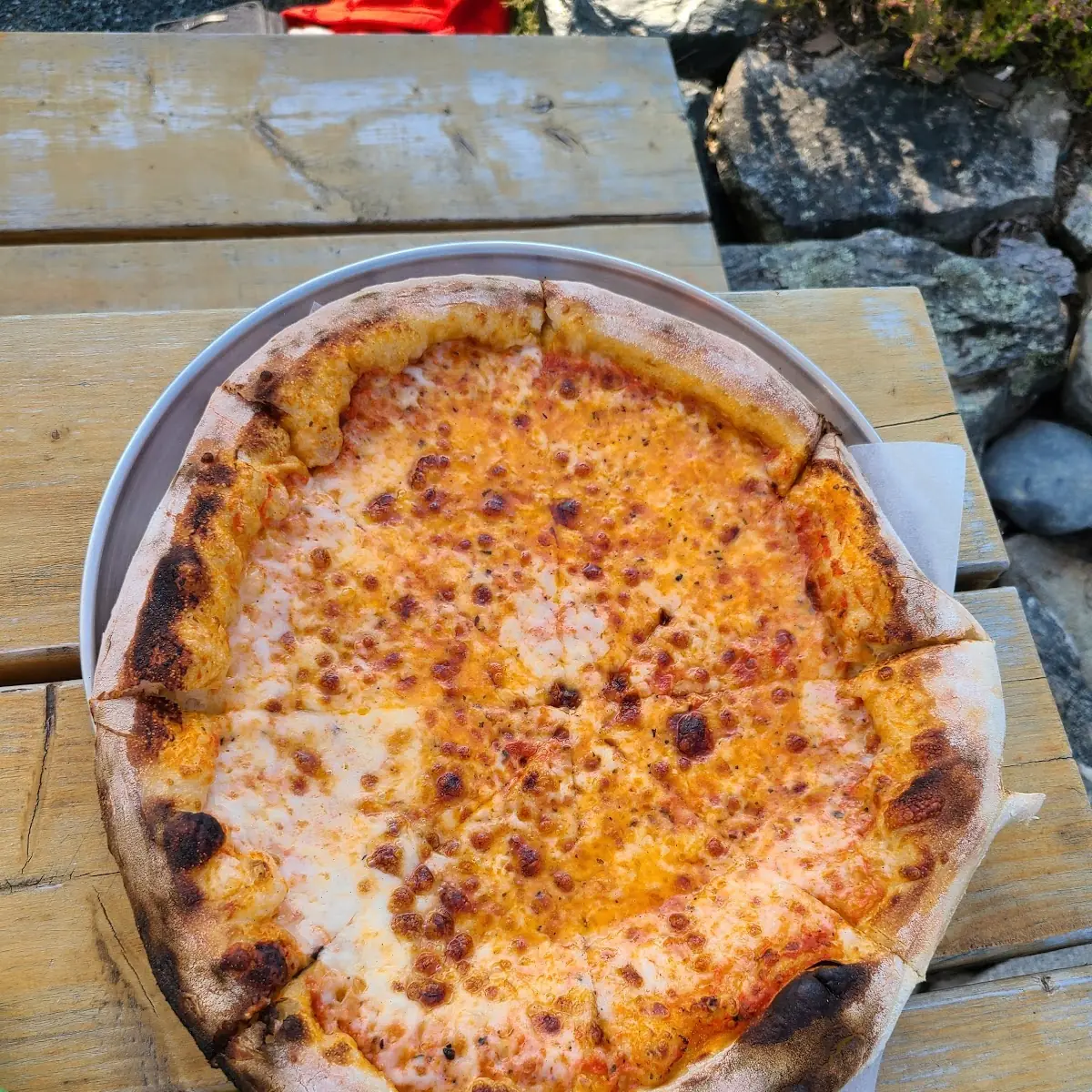 Cheese Pizza