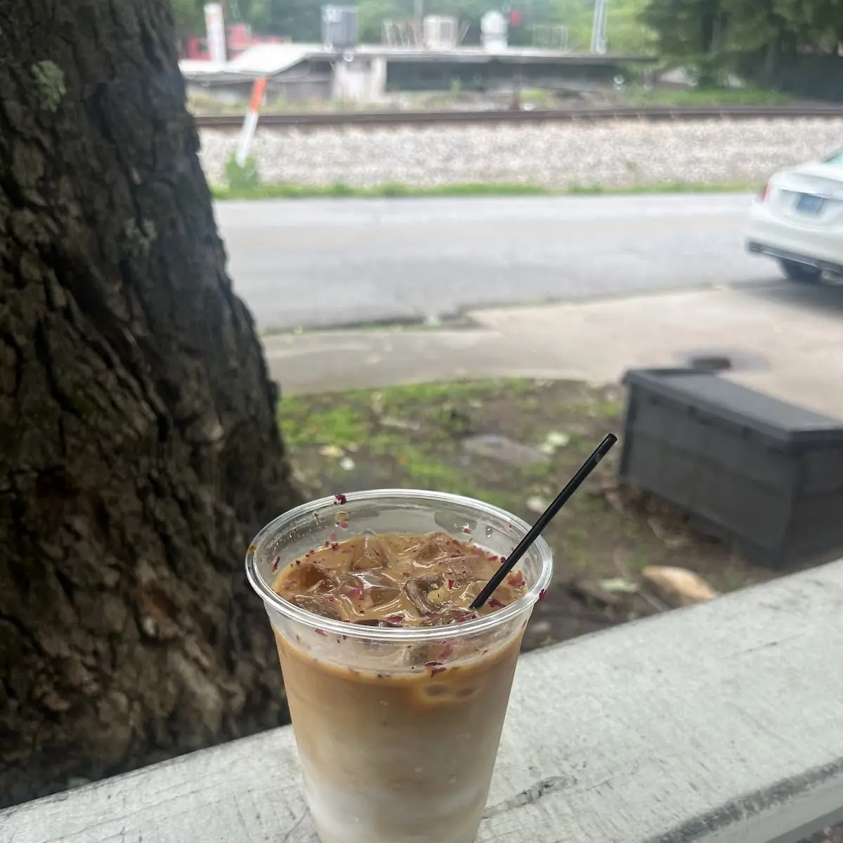 Black Walnut Almond Milk Latte
