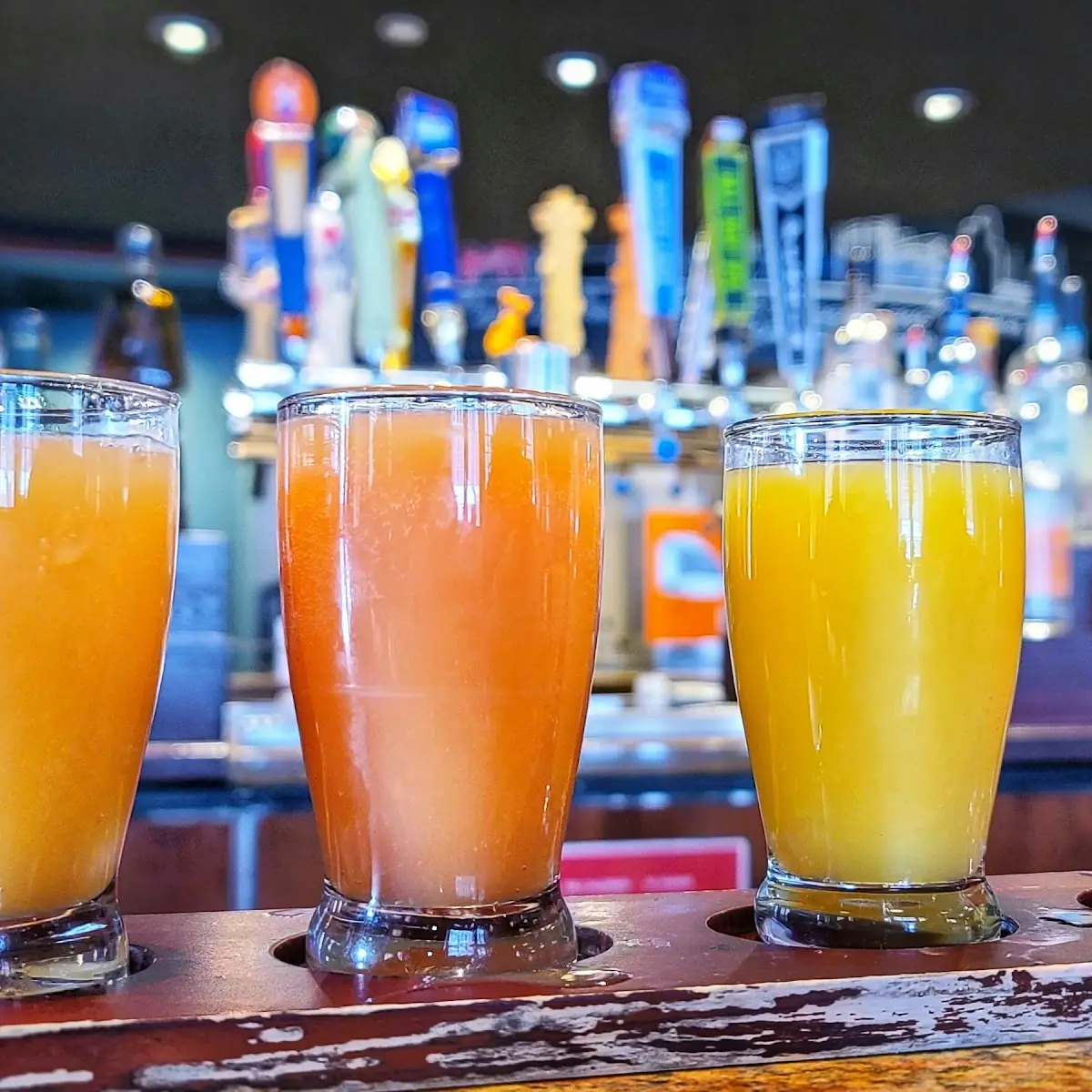 Mimosa Flight