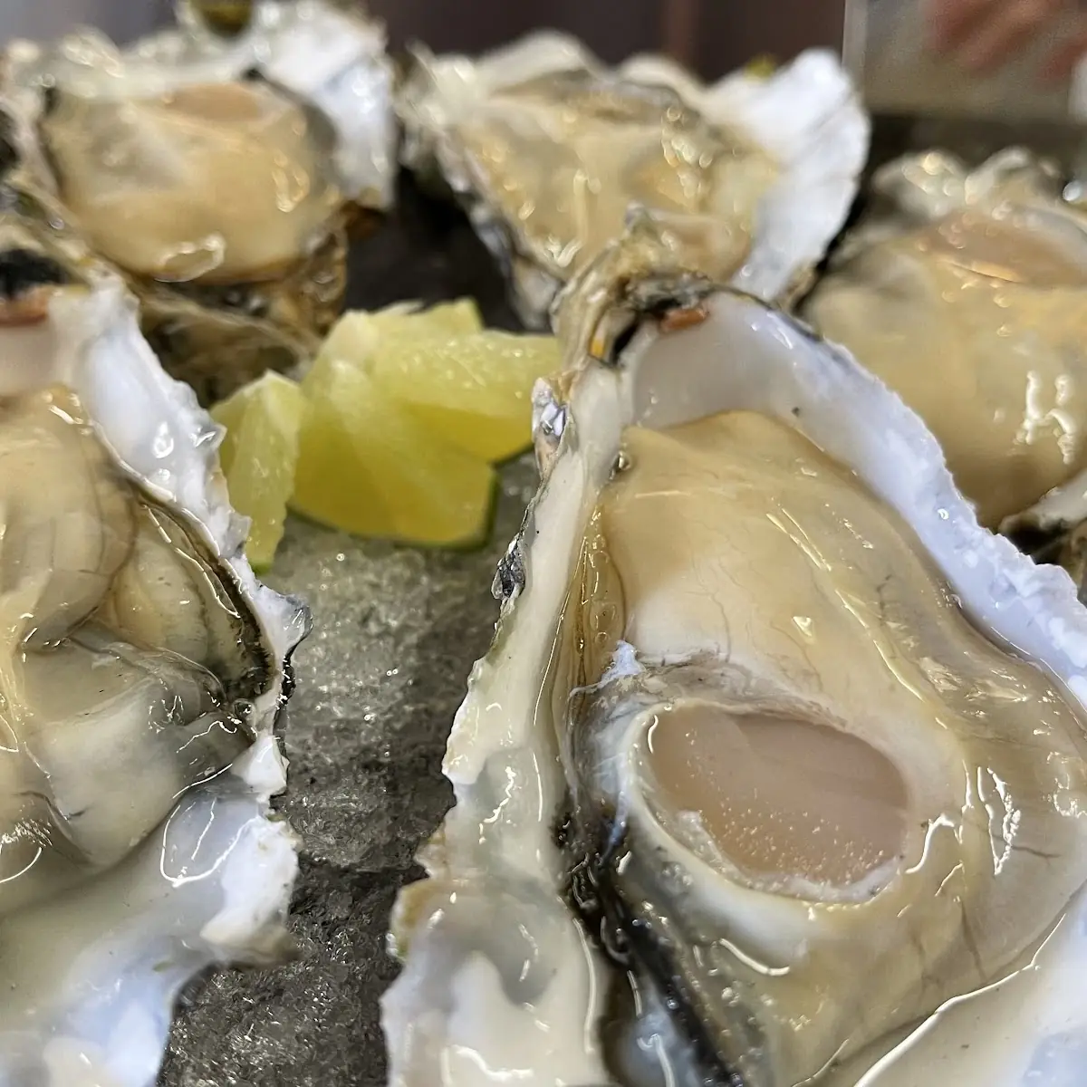In-Shell Oysters