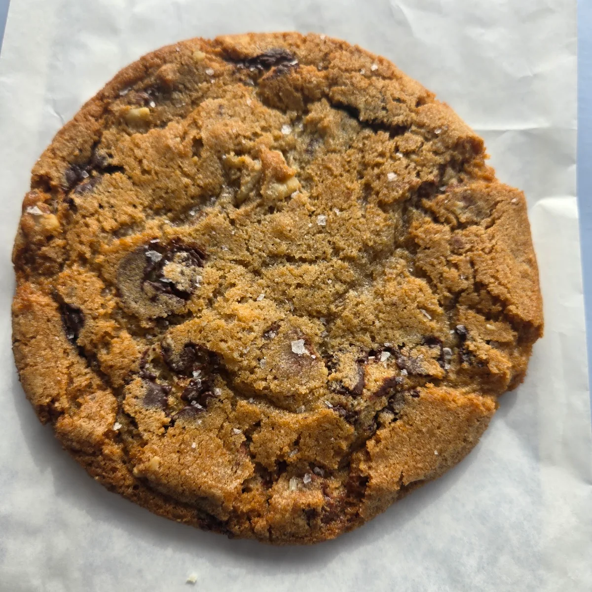 Chocolate Chip Cookie