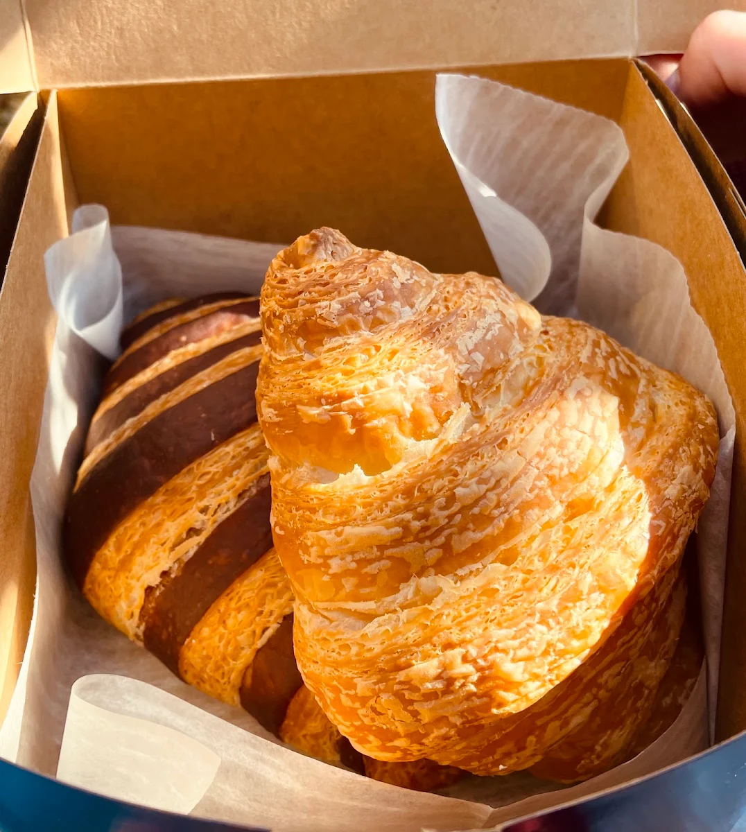 Plain Croissant and Chocolate Croissant