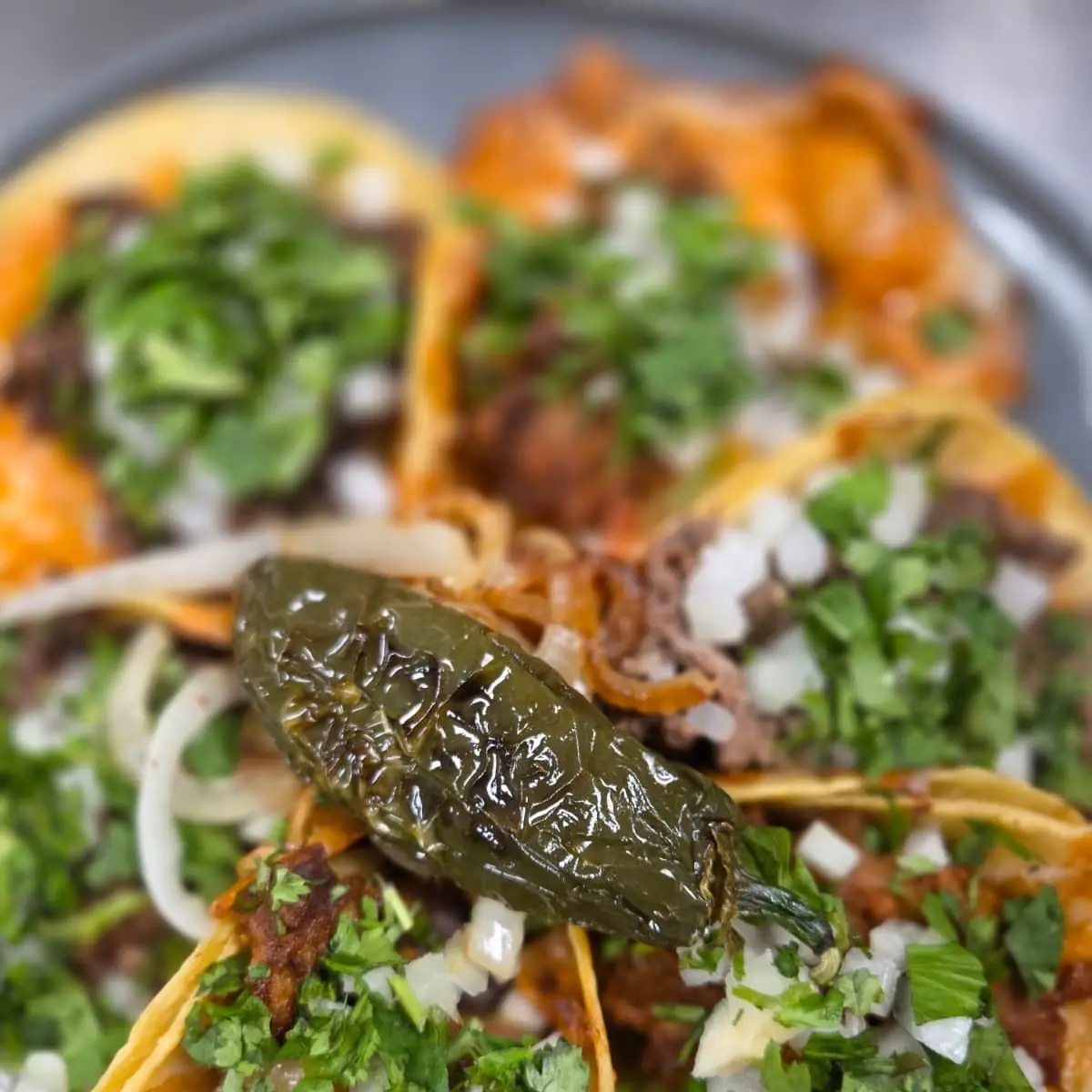 Street Tacos