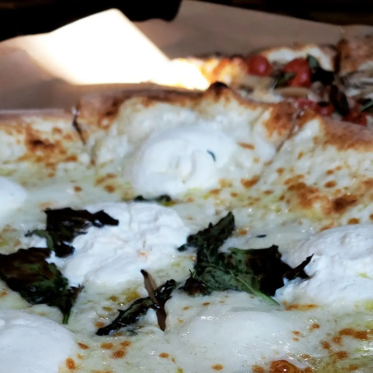 Bianca Pizza