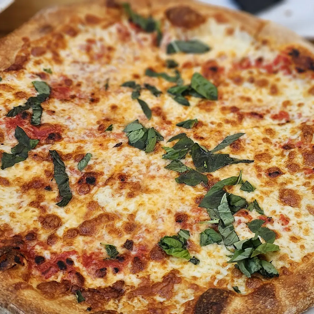 Margarita Pizza
