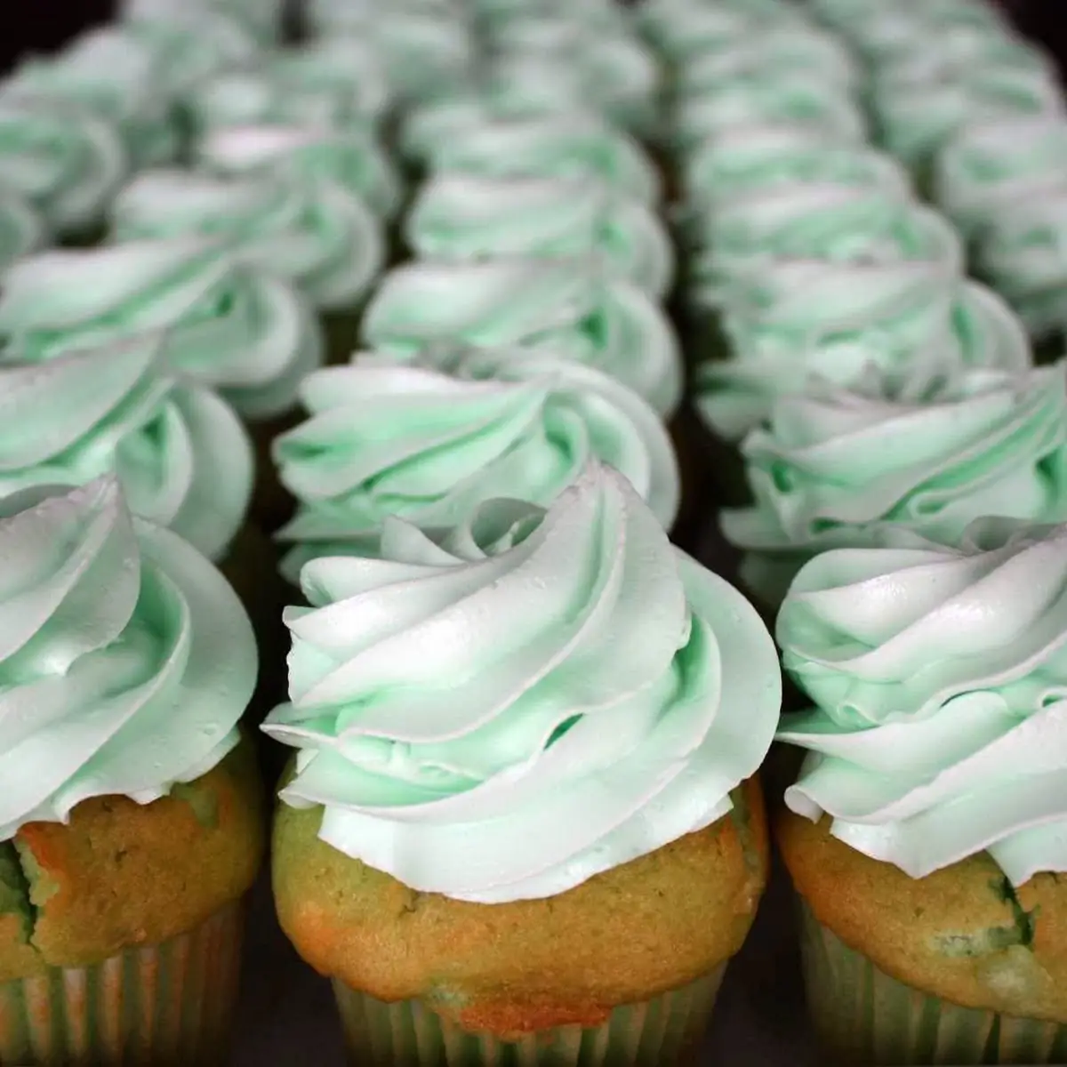 Shamrock Shake Cupcake