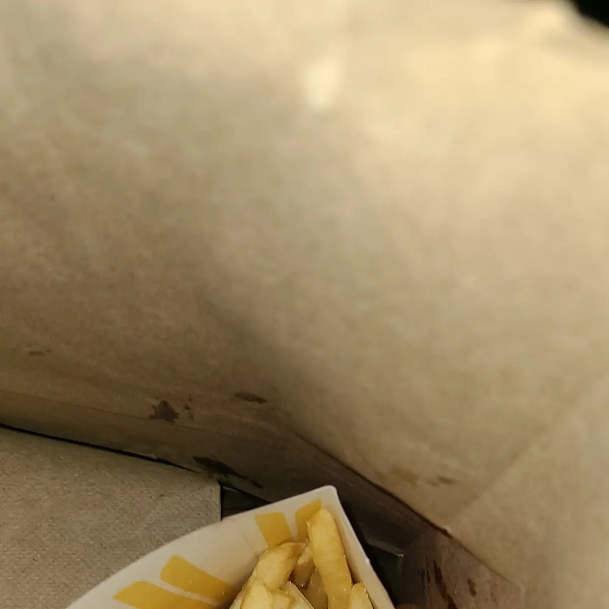 World Famous Fries