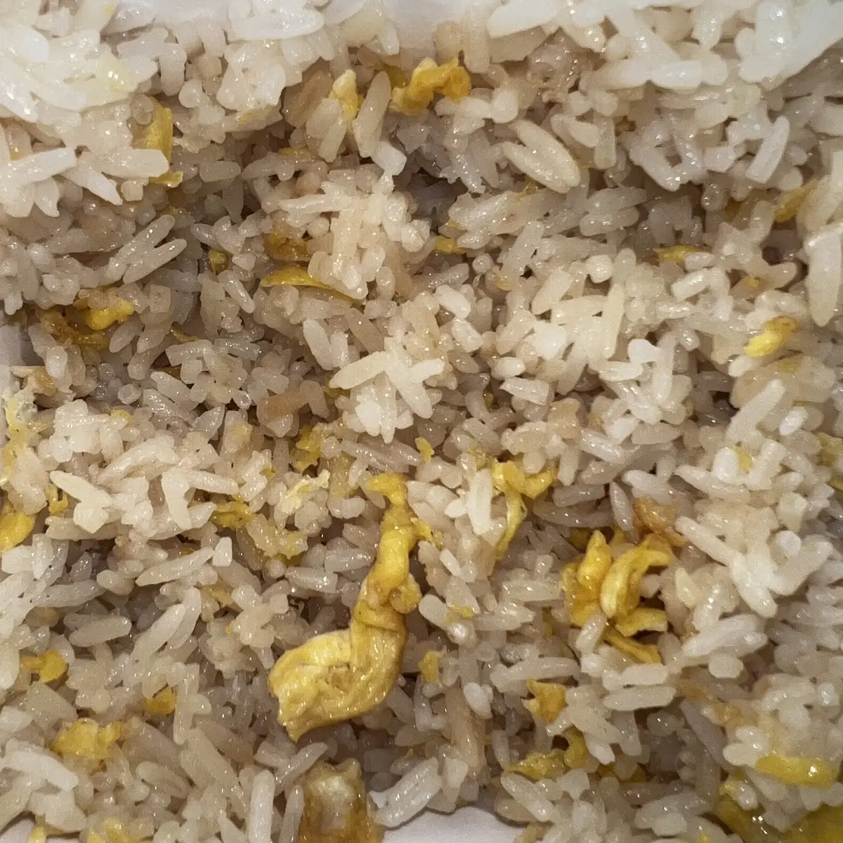 Salted Fish Chicken Fried Rice