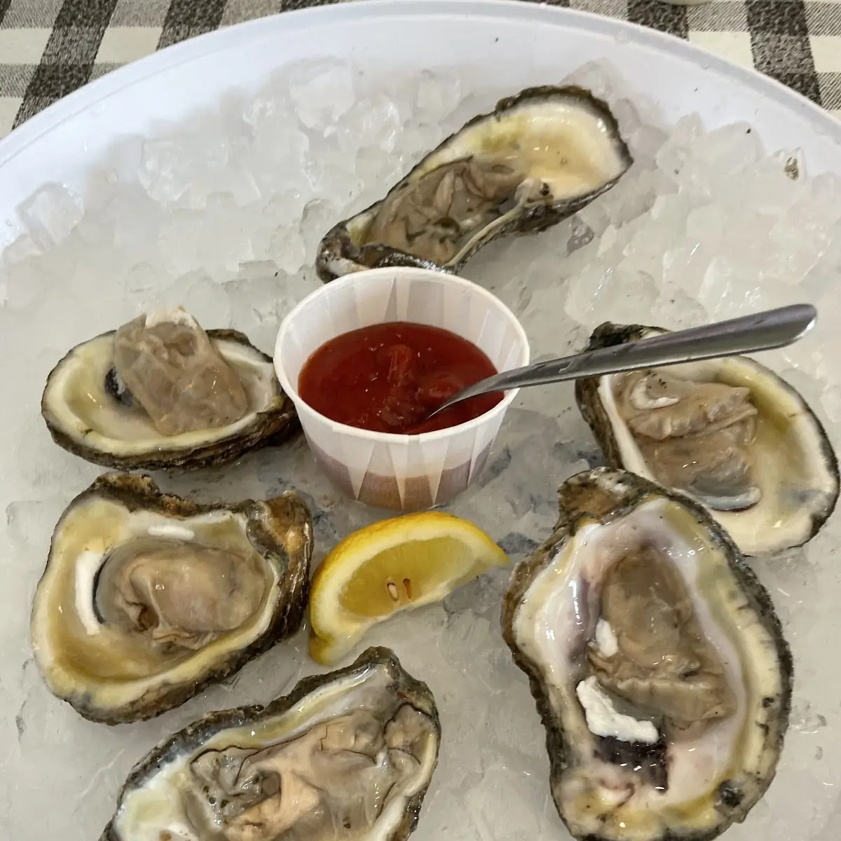 Raw Oysters on the Half Shell