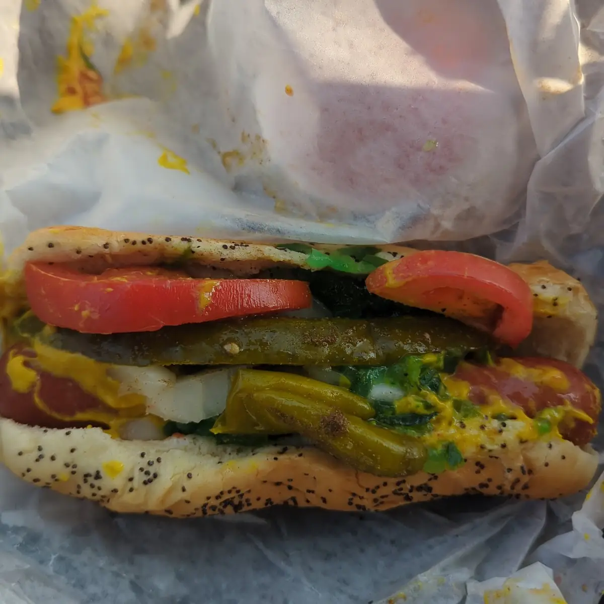 Chicago Style Hot Dog