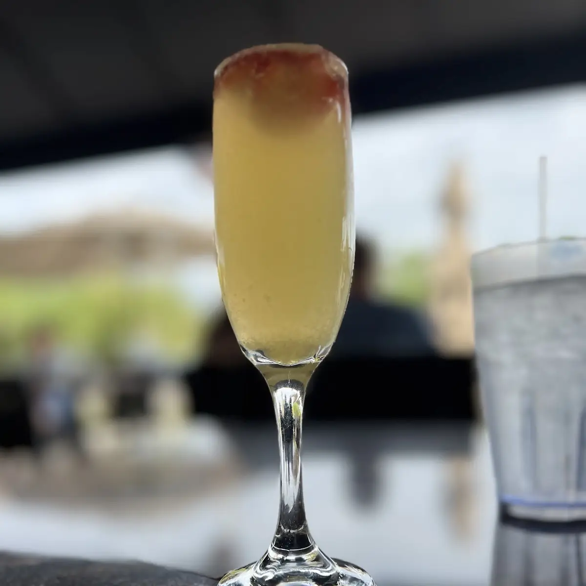 Classic Mimosa