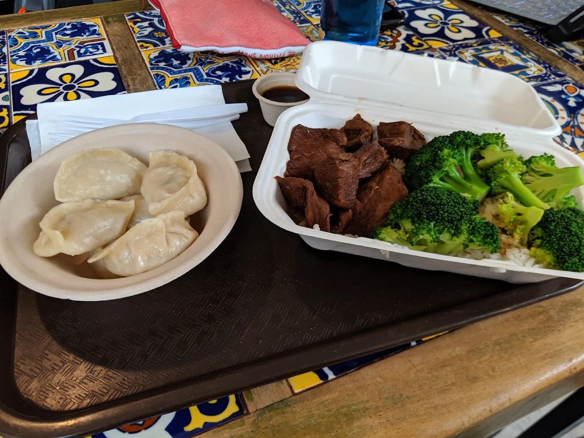 Chicken Dumplings and Beef Rice Bowl