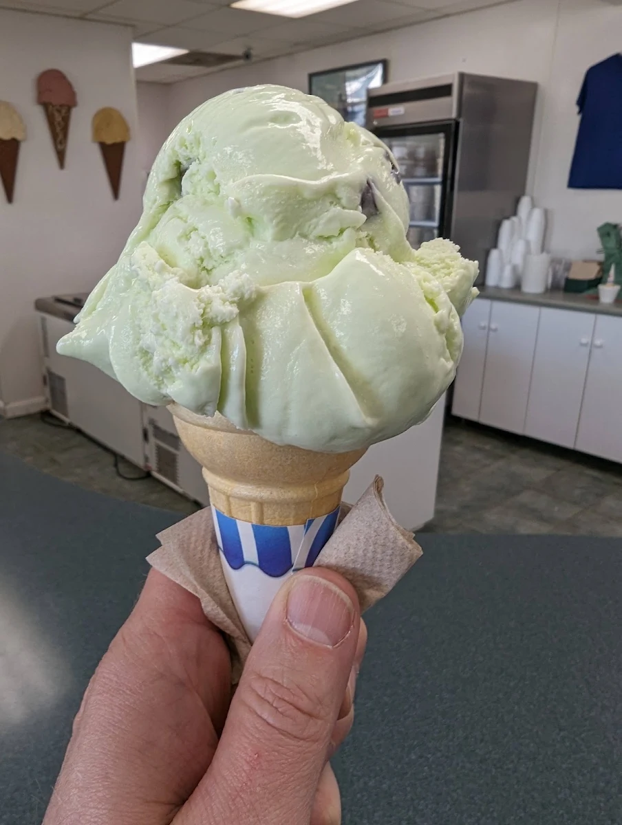 Chocolate Chip Mint Wafer Cone
