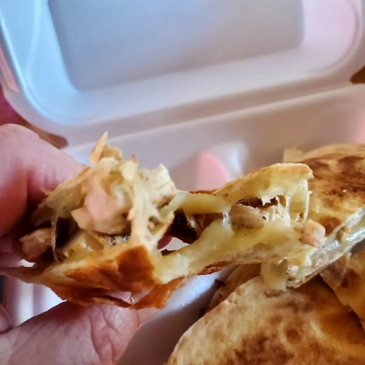 Chicken Quesadilla