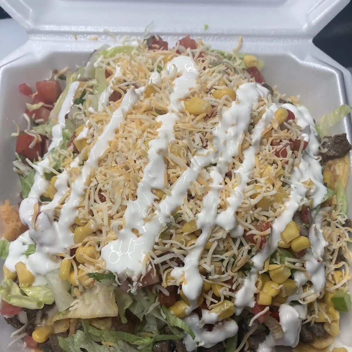 Carne Asada Fries