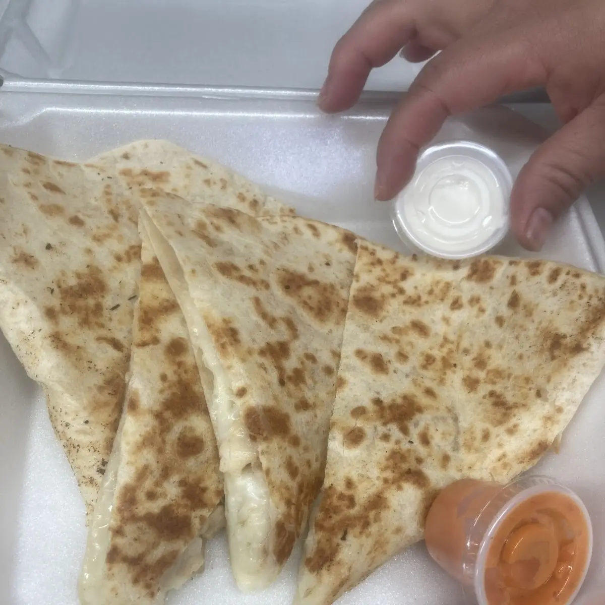 Cheese Quesadilla