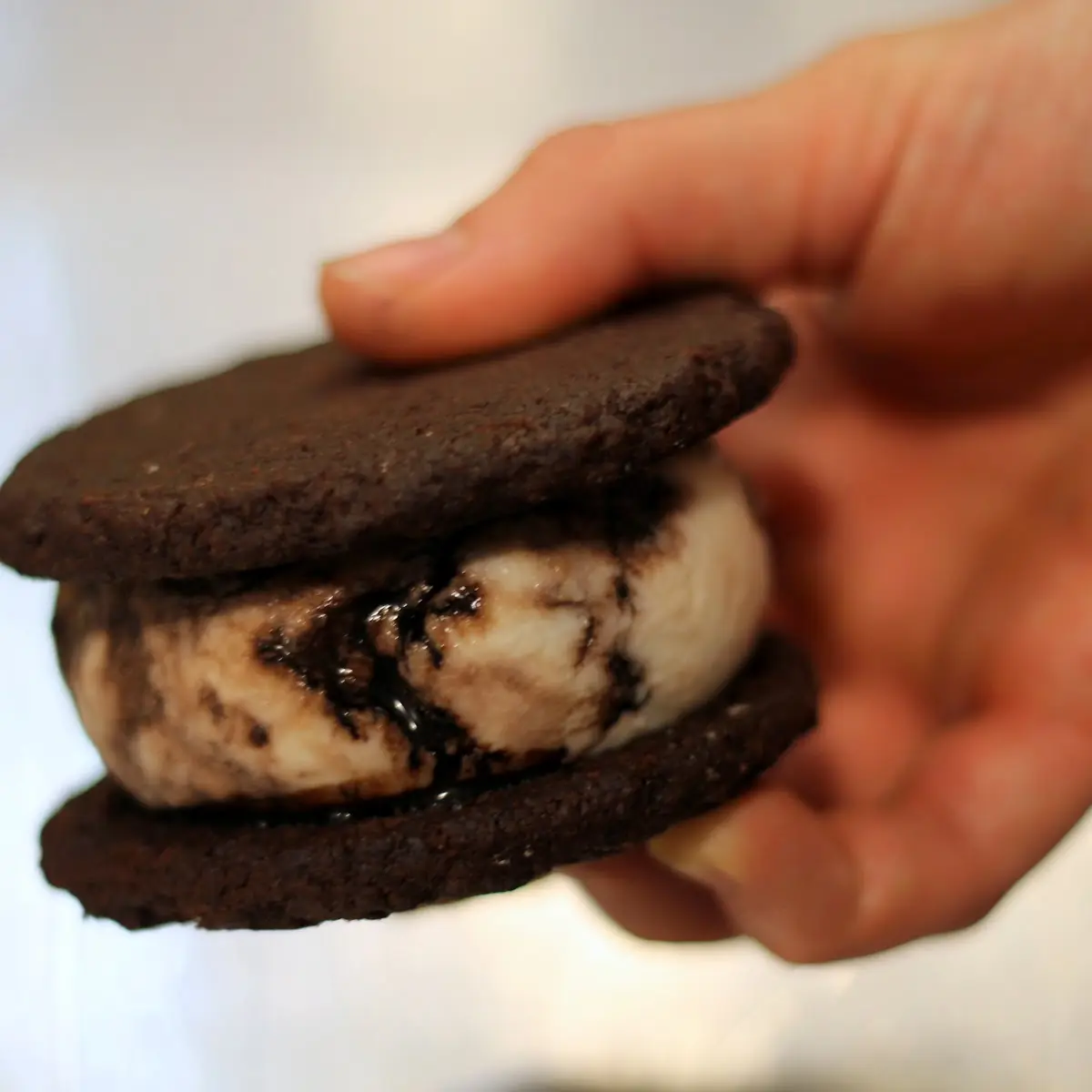 Ice Cream Sandwich