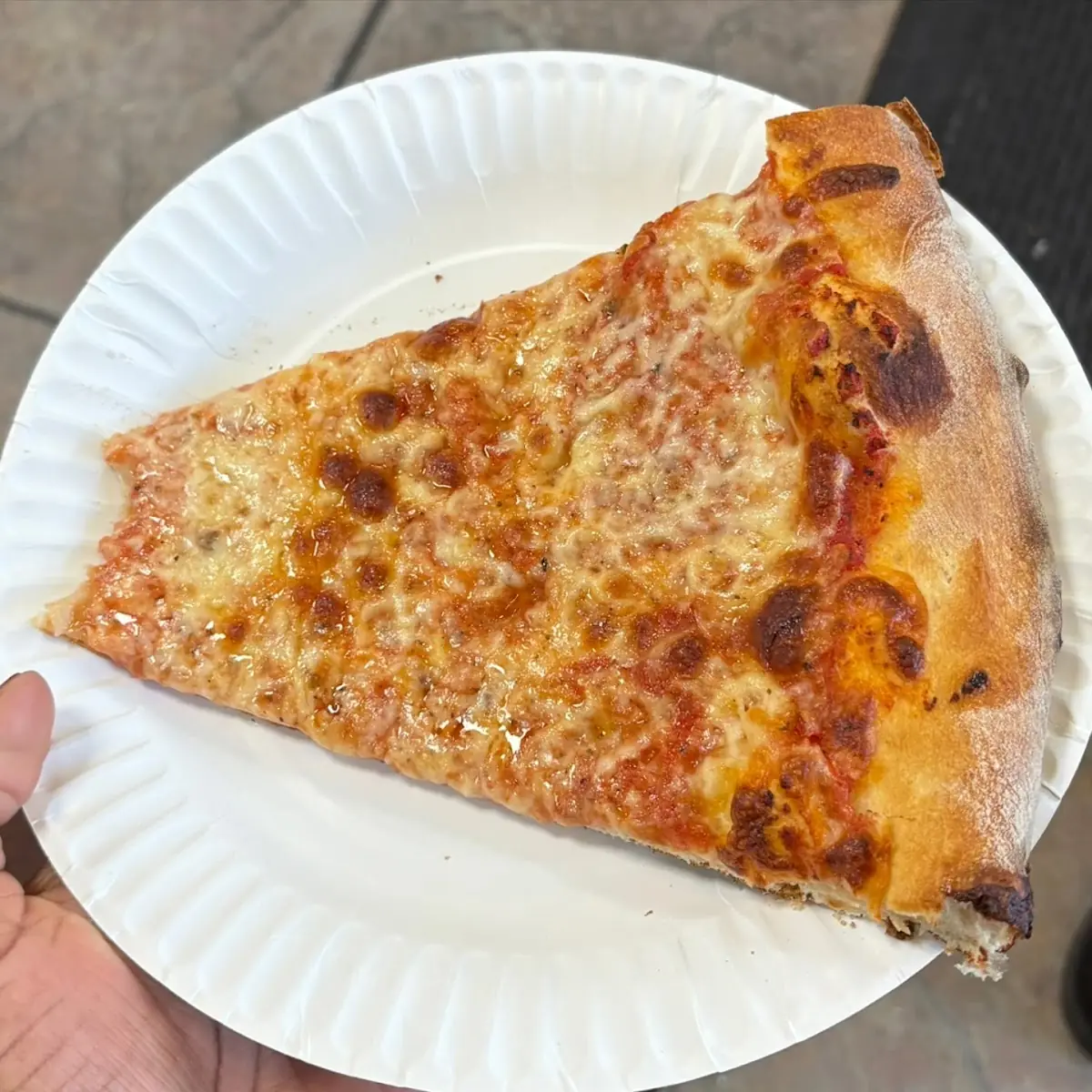 Sicilian Slice