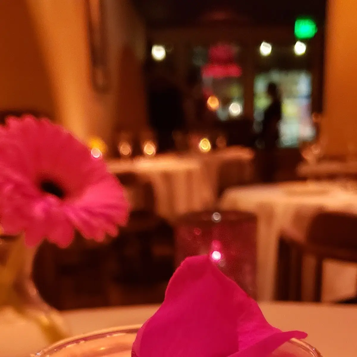 Beet Infused Gin Cocktail