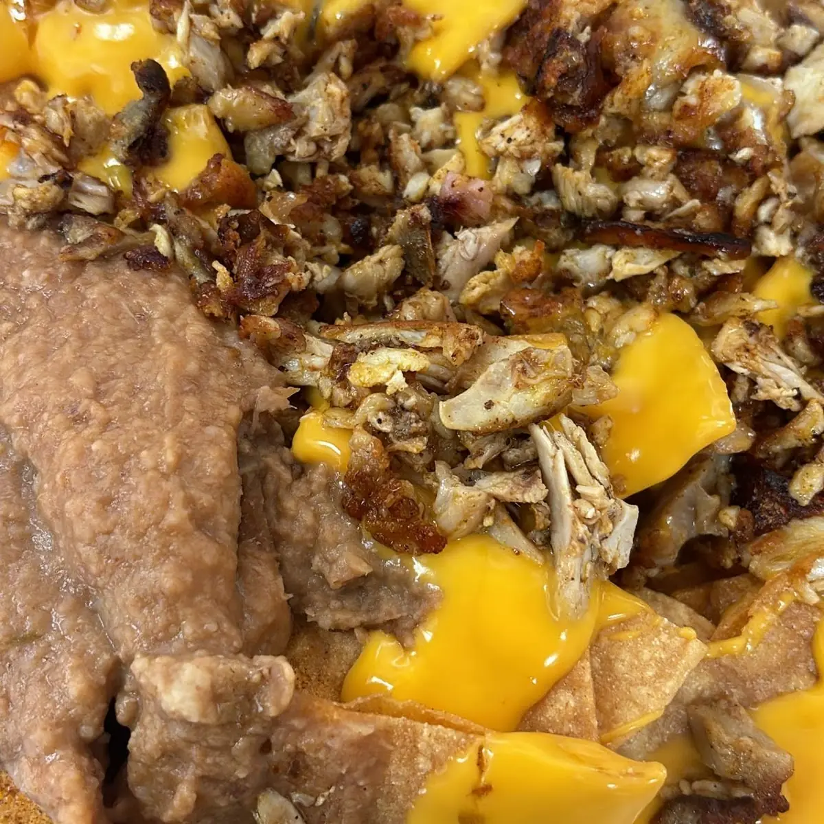 Carne Asada Fries