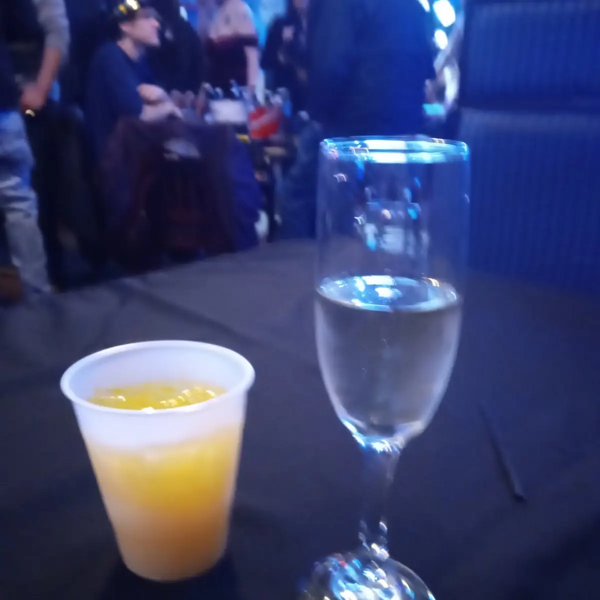 Mimosa on New Years Eve
