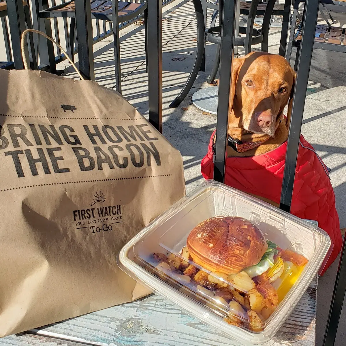 The Elevated Breakfast Sandwich