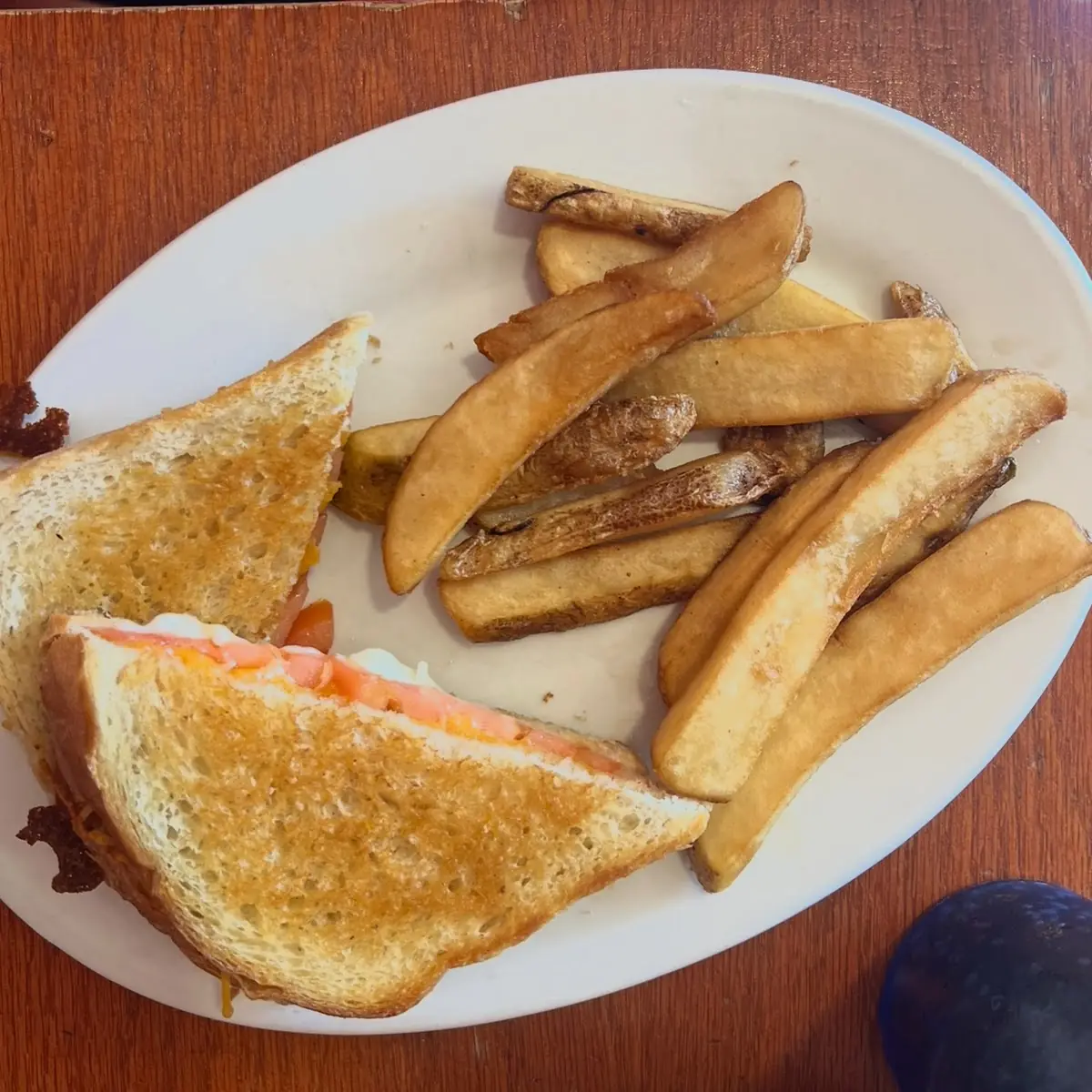 Grilled Cheese and Fries