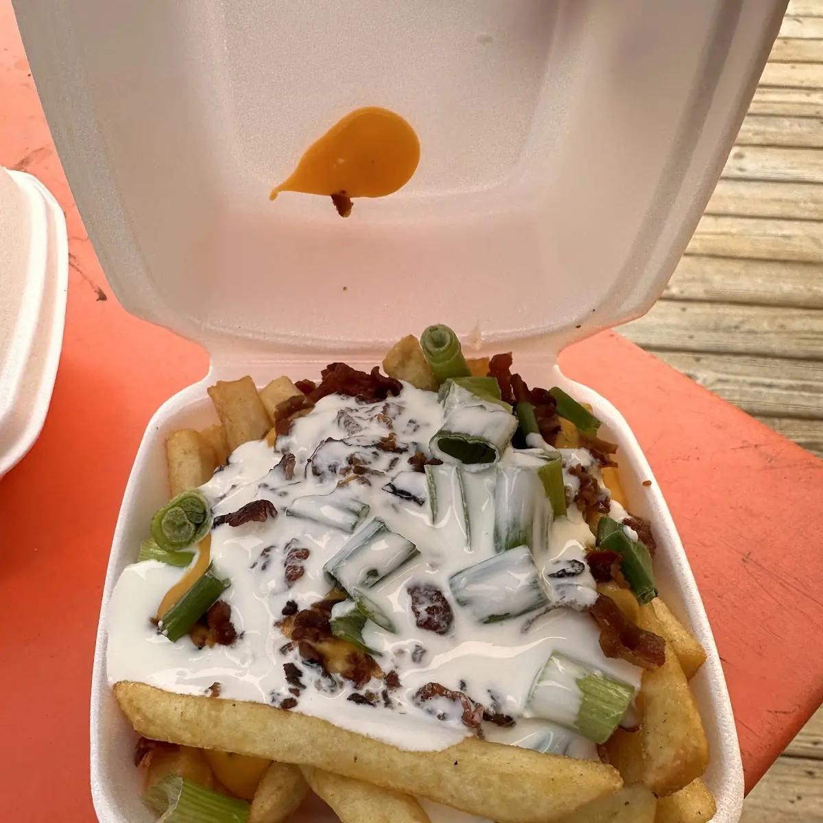 Fully Loaded Fries