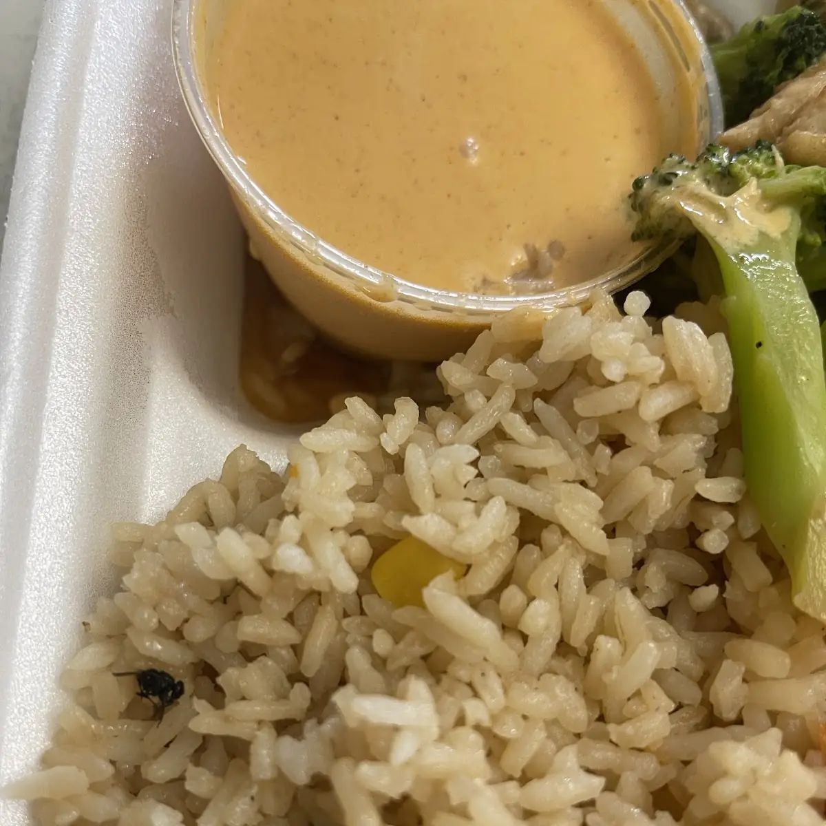 Brown Rice
