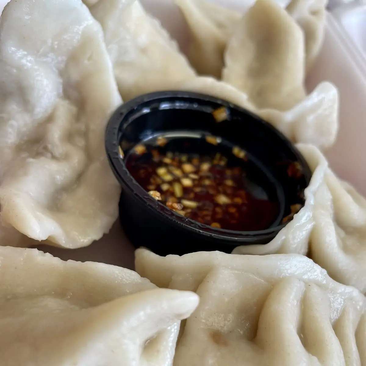 Steamed or Fried Dumplings 8