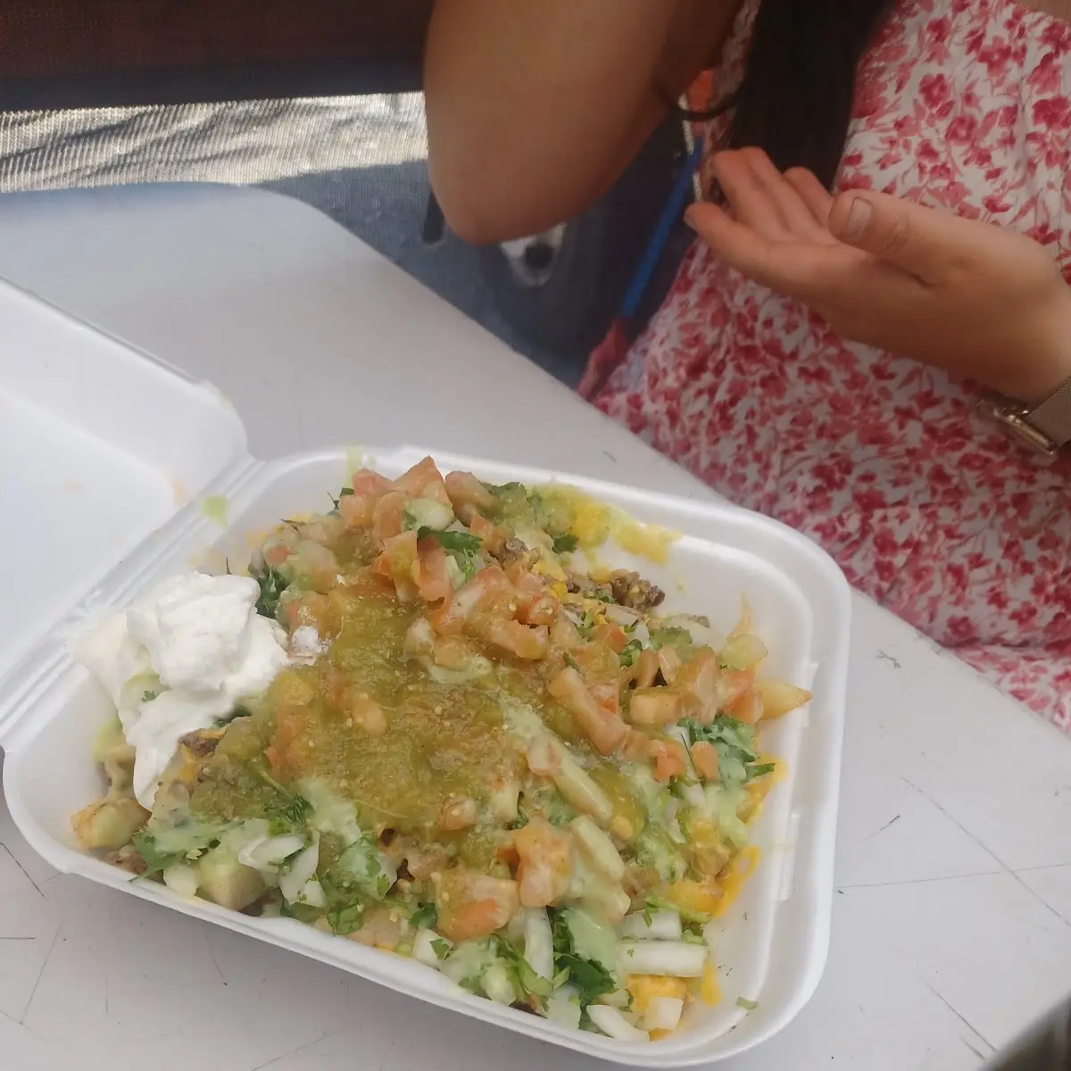 Carne Asada Fries