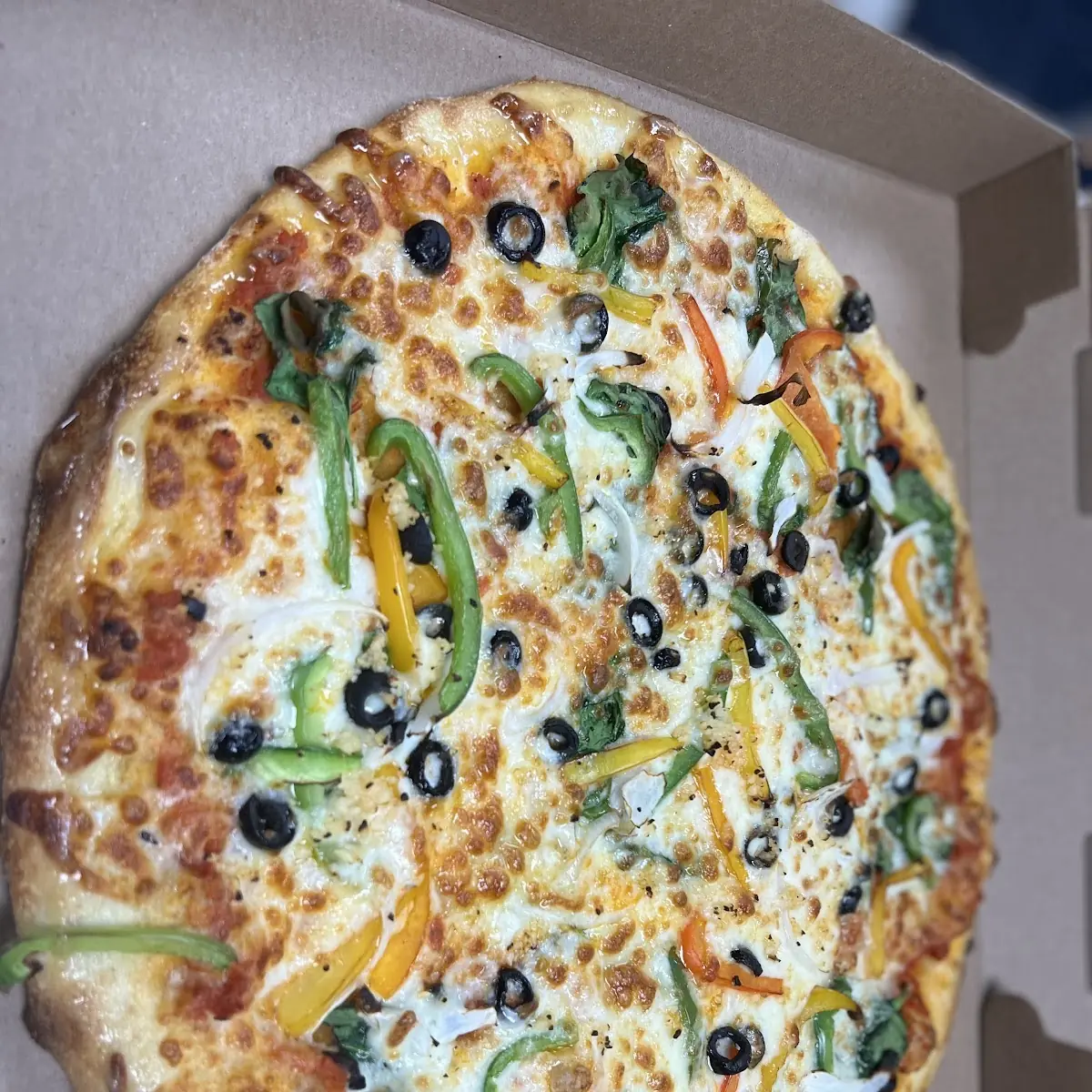 Veggie Pizza