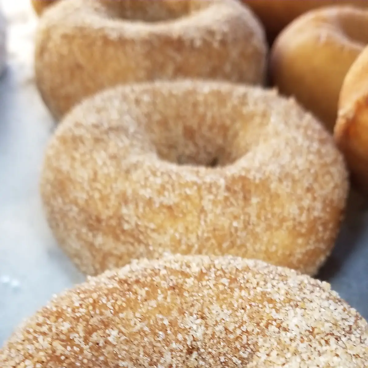 Cider Doughnut