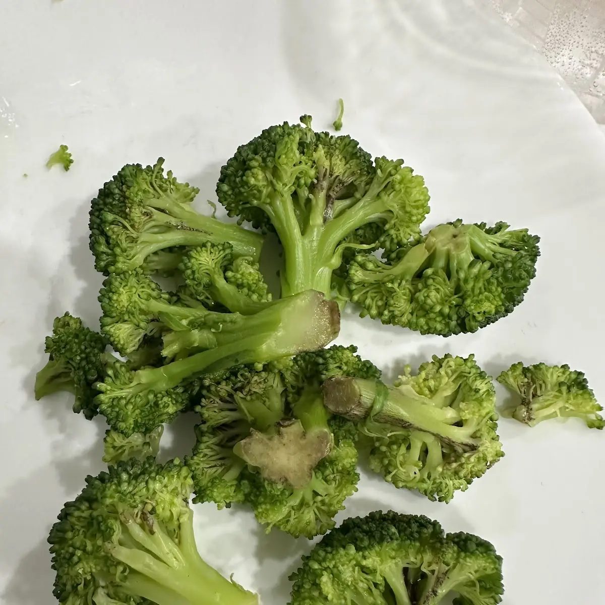 Steamed Broccoli