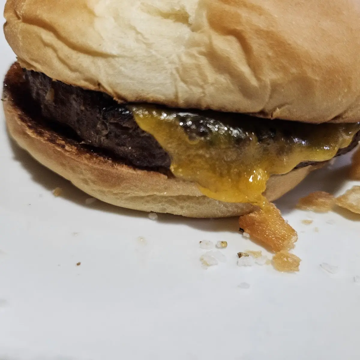 Kids Cheeseburger with Fries
