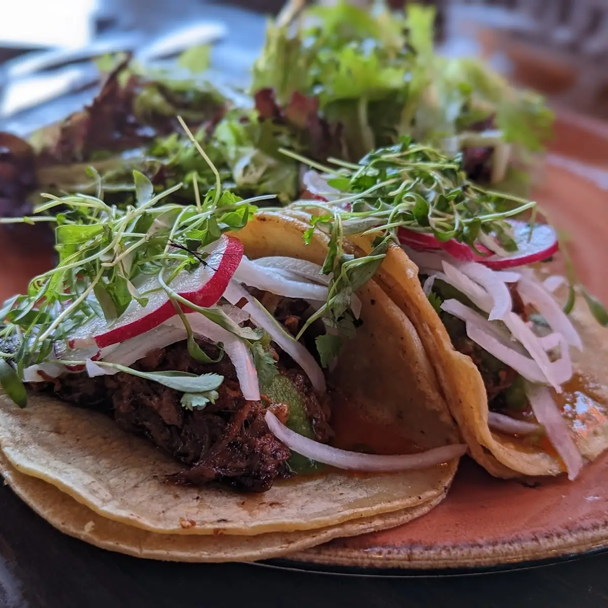 Lamb Barbacoa Tacos