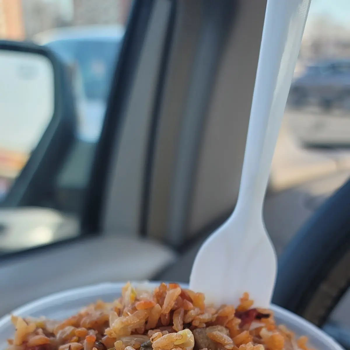 Pork Fried Rice