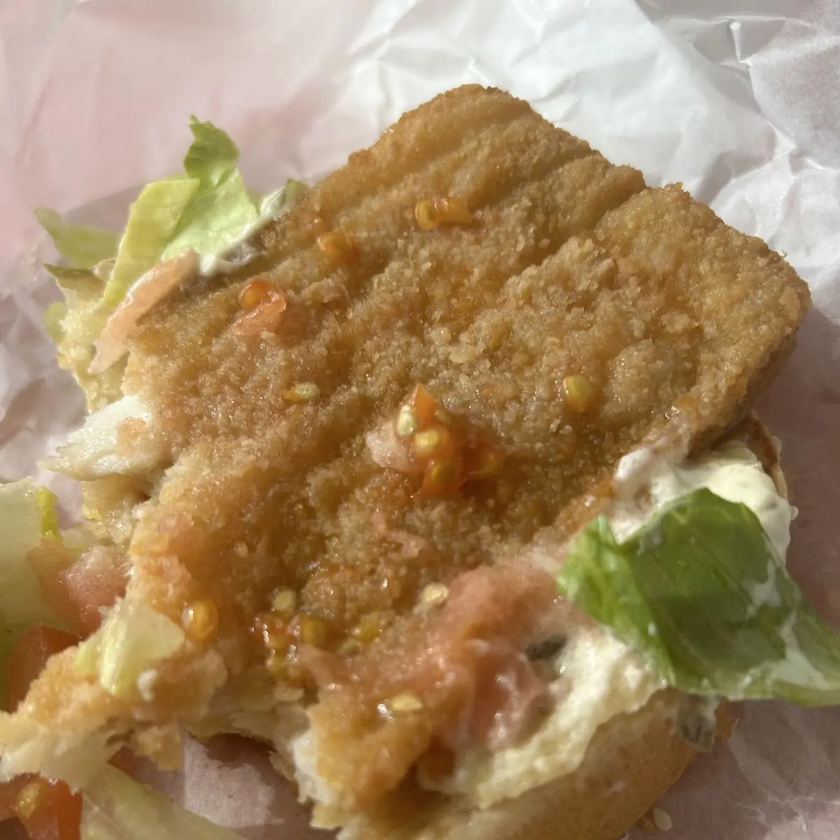 Fish Sandwich Horrible